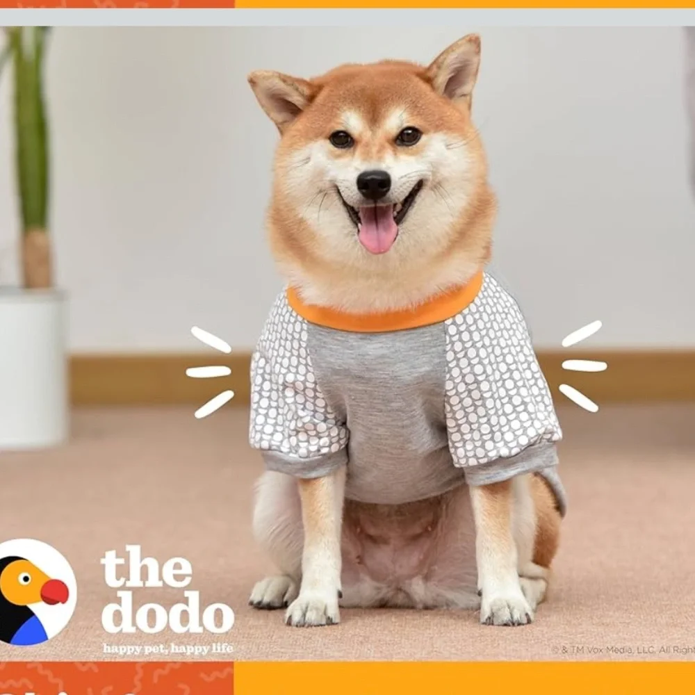 The Dodo ‘Favorite Family Member' Grey Dog T-Shirt with Yellow Trim Size L